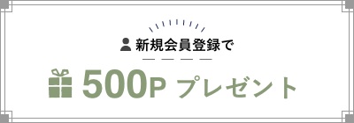 新規会員登録で500Pプレゼントバナー