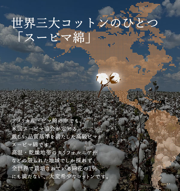 世界三大コットン